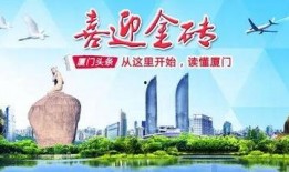 厦门大爆料最新,揭秘城市新动态，探寻生活新亮点